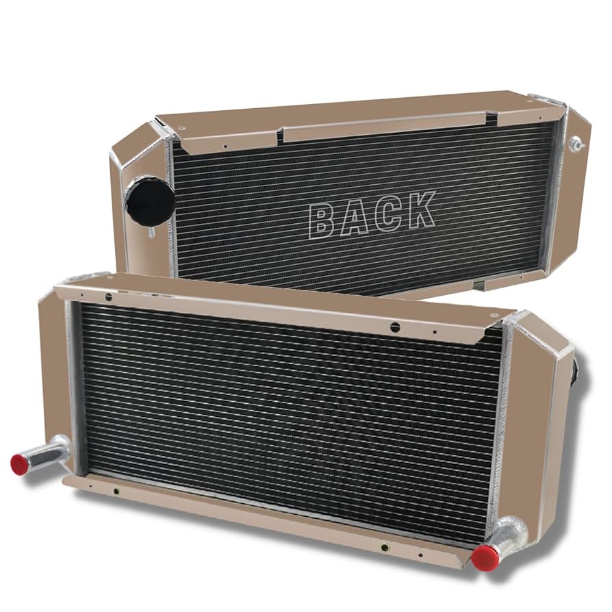 ricecat୨୧ 3333073_CAT_SWING_1__62488.